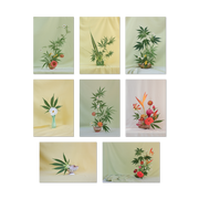 Postcard ~ Weed Ikebana