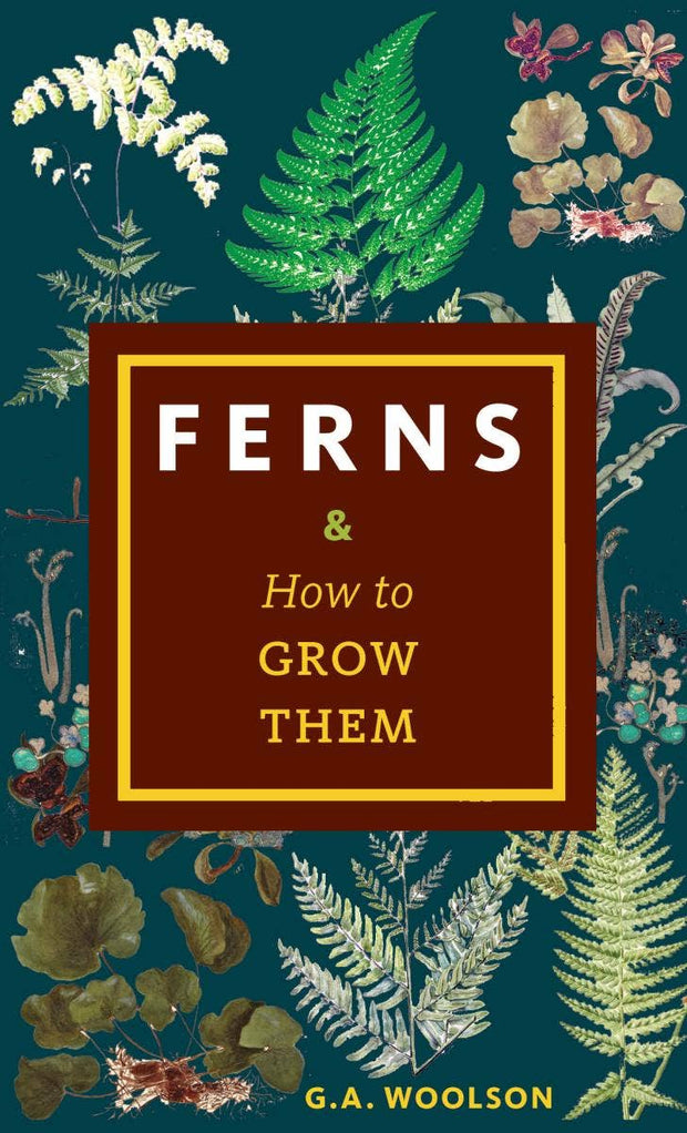 Ferns & How to Grow Them
