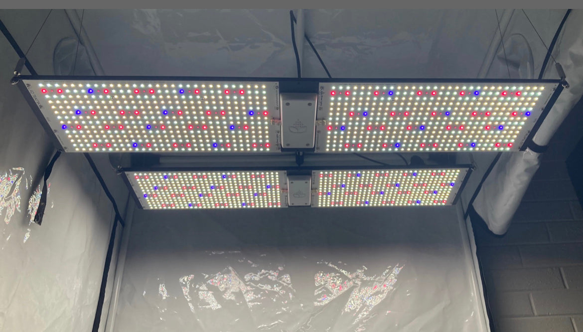 Grow Lights Australia High Light 420 Longboard LED kit Plant Playground