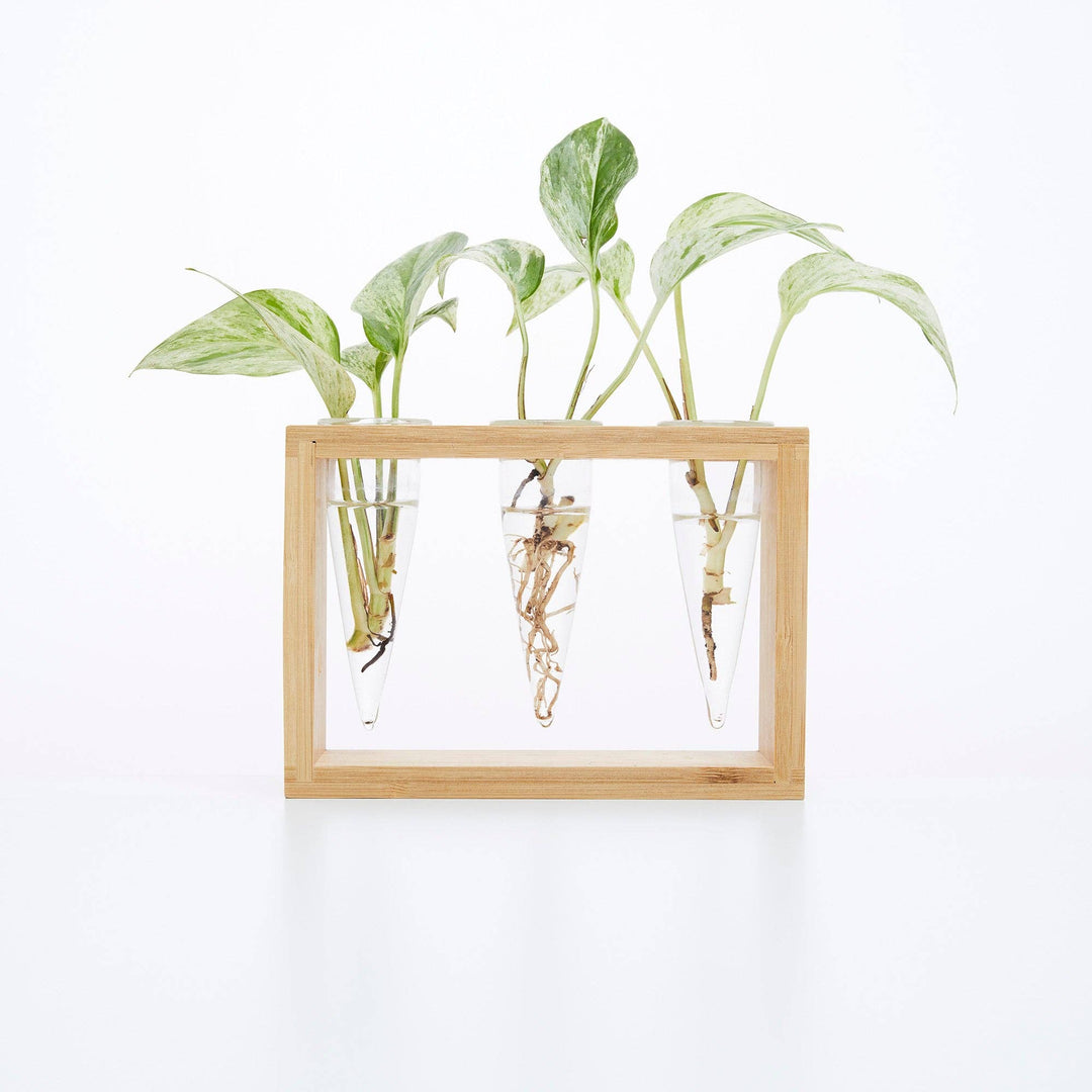 Proppi 3 Propagation Station