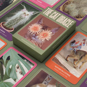 The Cat Oracle