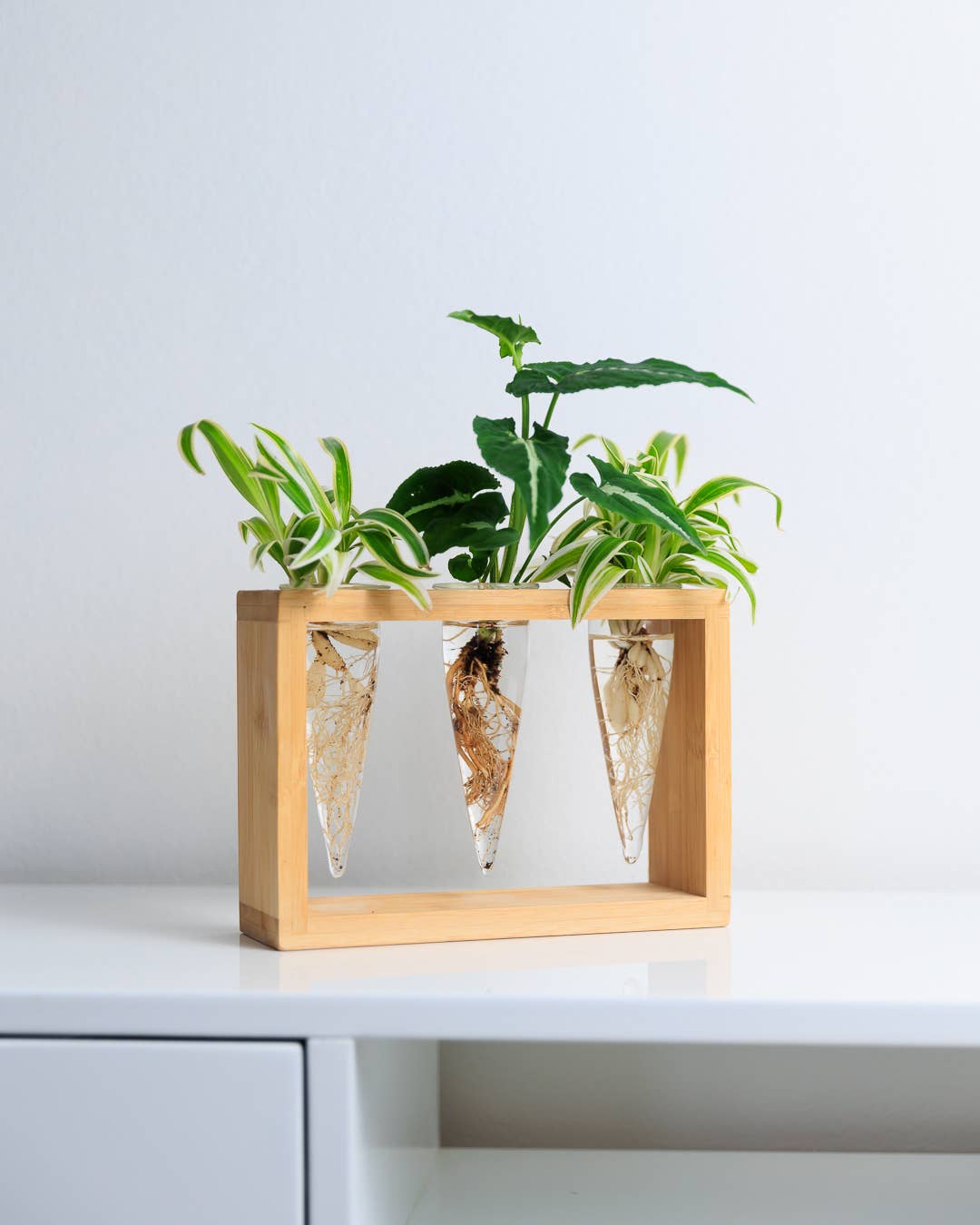 Proppi 3 Propagation Station