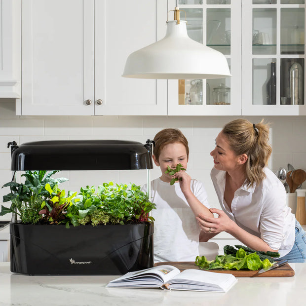 Kitchen Garden Black