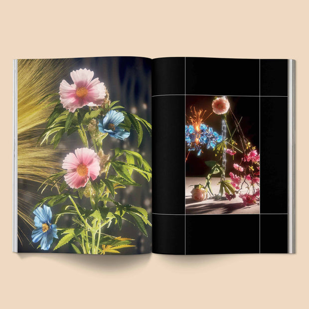 Broccoli Magazine Issue 18