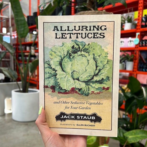 Alluring Lettuces: Seductive Vegetables for Your Garden