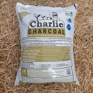 Charlie Charcoal 25l