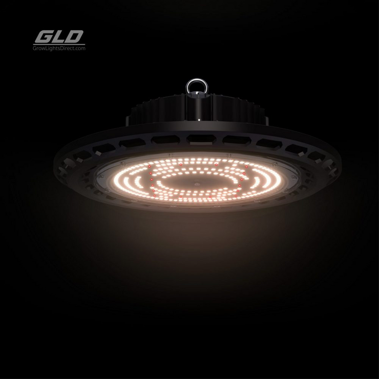 GLD 100w satelight UFO LED