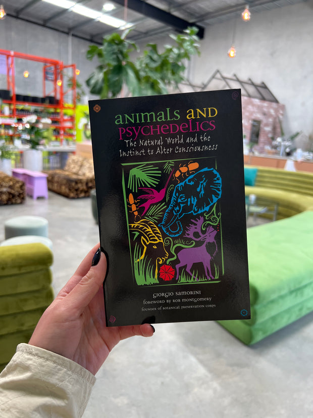Animals & Psychedelics: Instinct to Alter Consciousness