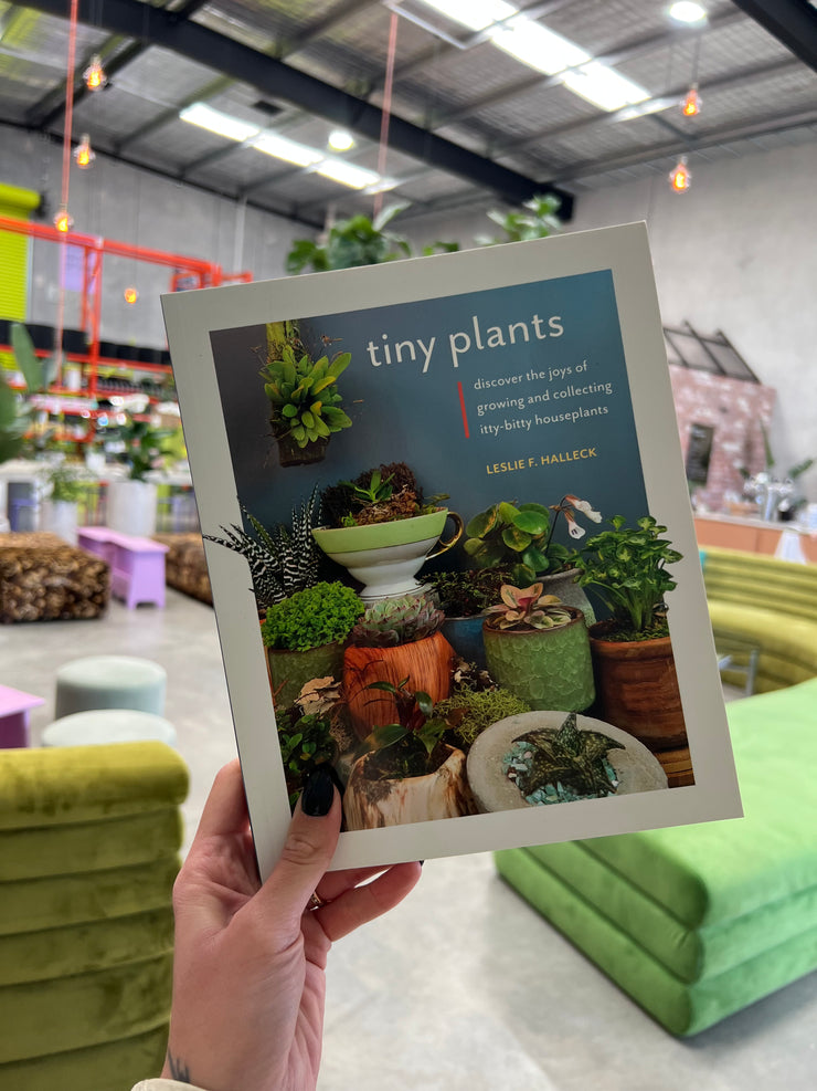Tiny Plants: Discover the joys of growing and collecting