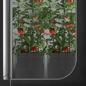 AC Infinity 3 gallon (12.87L) fabric pots 5 pack