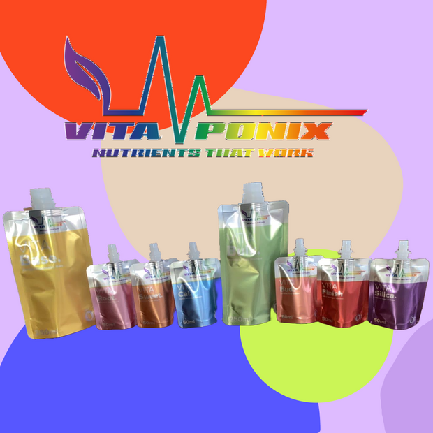 Vitaponix Starter Kit