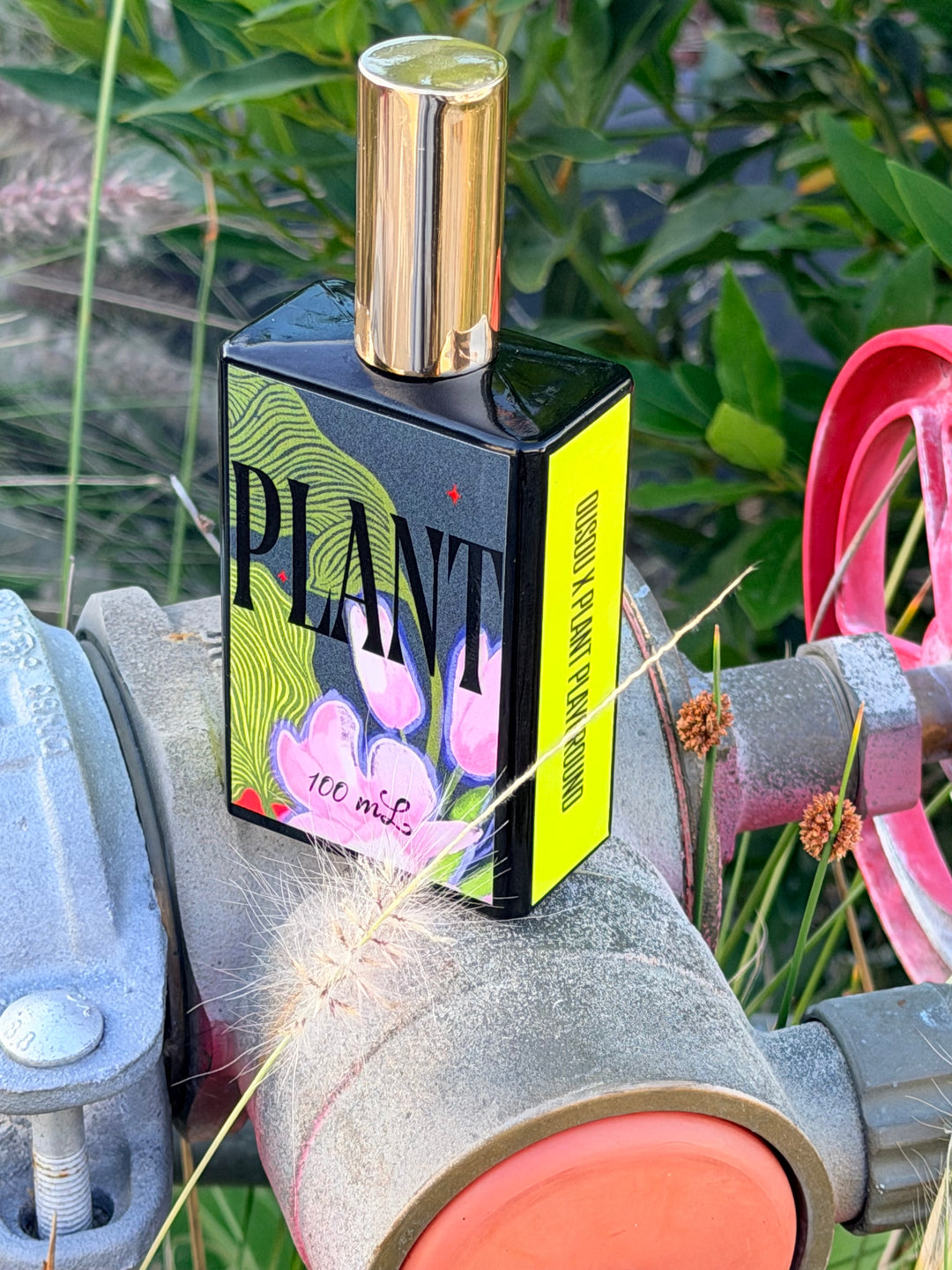 Plant - A Room Spray