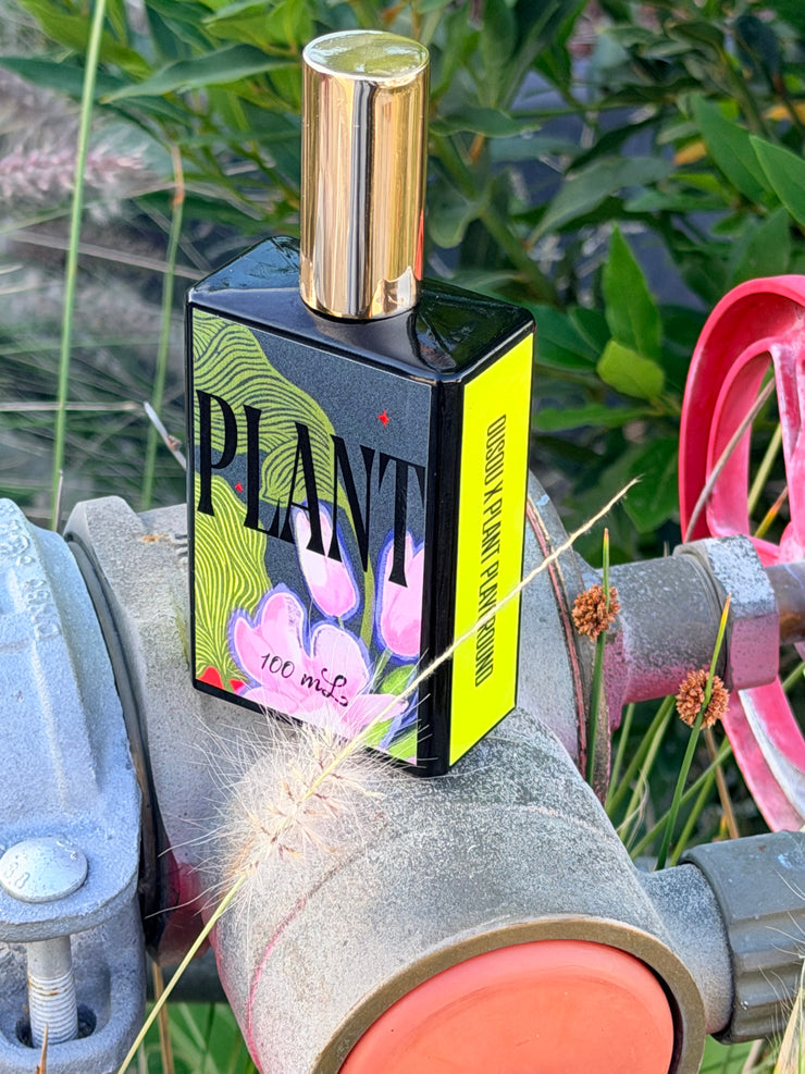 Plant - A Room Spray
