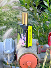 Plant - A Room Spray