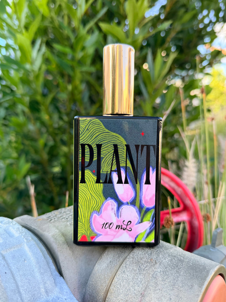 Plant - A Room Spray