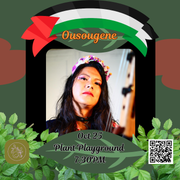 Fundraiser for Palestine