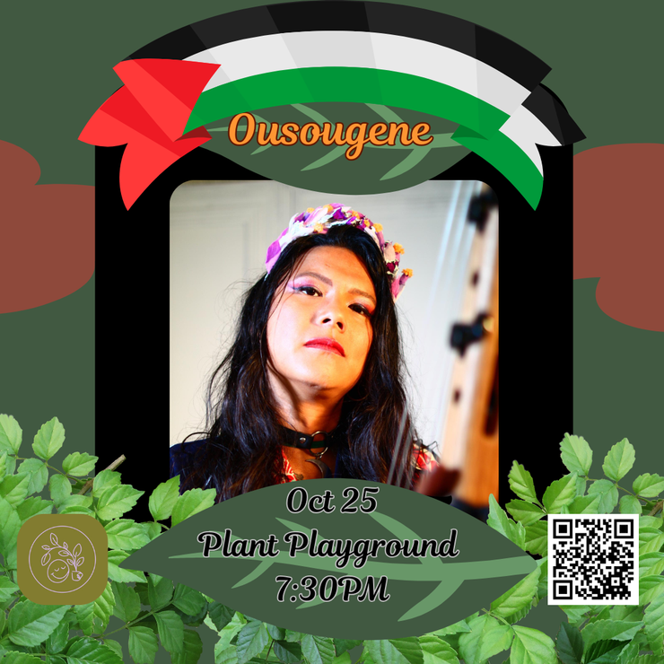 Fundraiser for Palestine