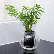 Medium Ribbed Glass Self-Watering Planter: