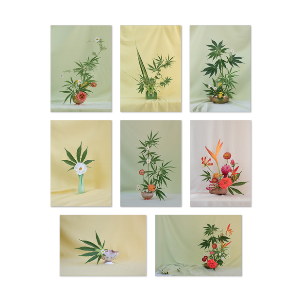 Postcard ~ Weed Ikebana