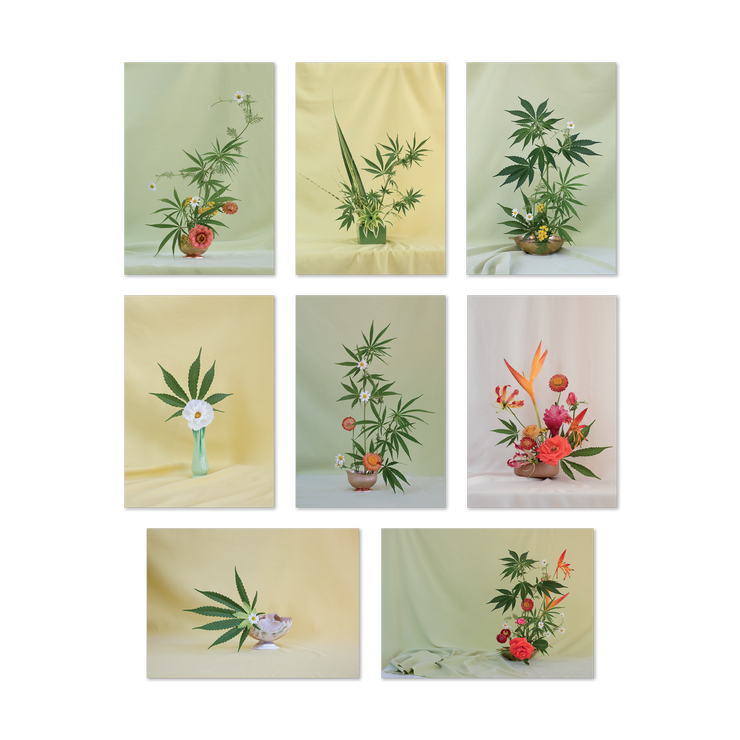 Postcard ~ Weed Ikebana