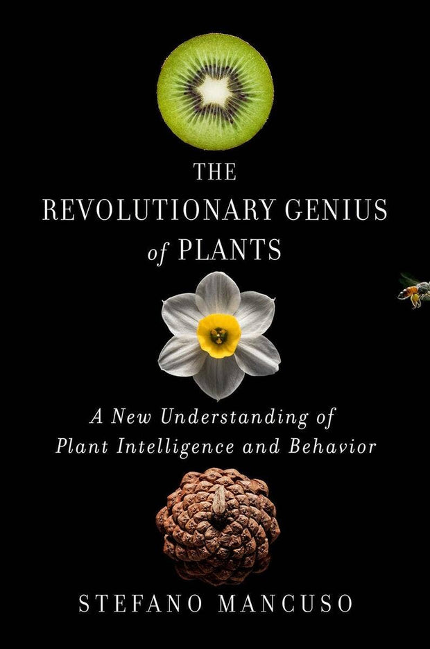 Revolutionary Genius of Plants: Plant Intelligence Behavior