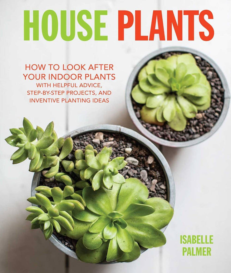 House Plants: How to Look After Your Indoor Plants