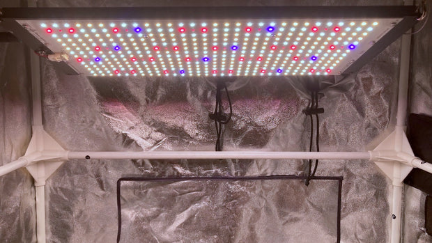 Grow Lights Australia 250W Gen 2 LED