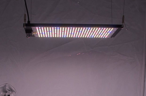 Grow Lights Australia Green Diamond 250W Gen 2 LED