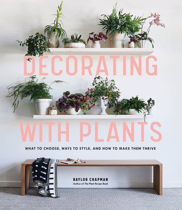 Decorating with Plants: How to Make Them Thrive