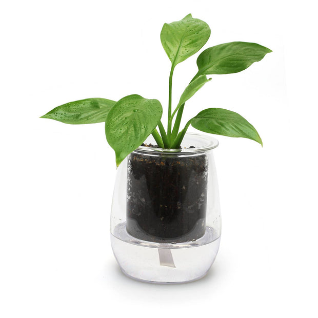 Mini Self-Watering Planter