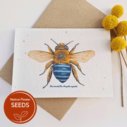 Plantable Blue-banded Bee Card - Lemon Scented Bottlebrush: Lemon Scented Bottlebrush