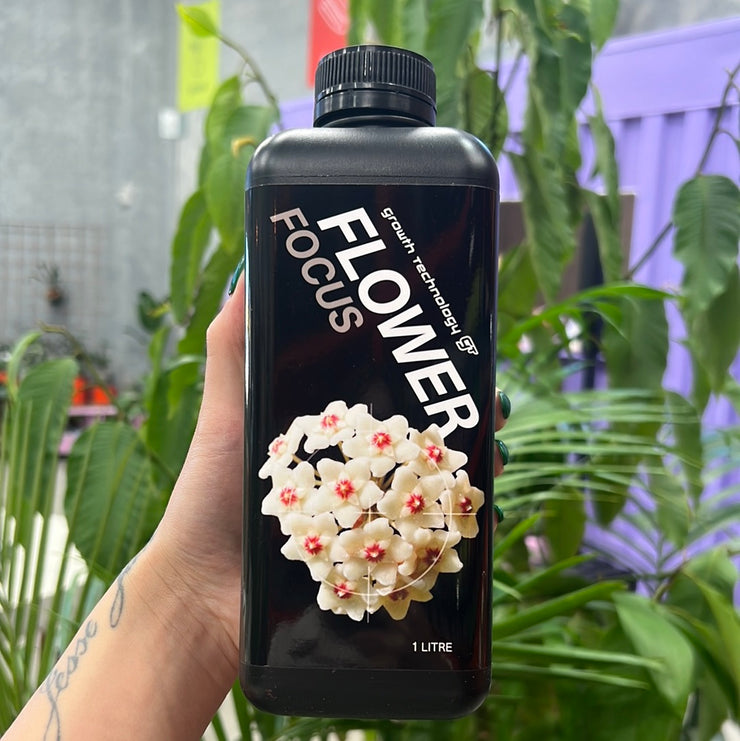 Flower Focus