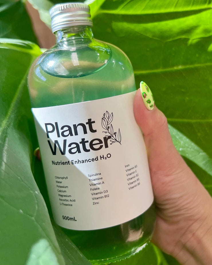 Plant Water 🌱💦