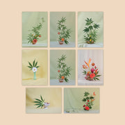 Postcard Set ~ Weed Ikebana