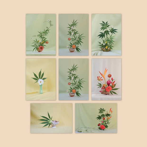 Postcard Set ~ Weed Ikebana