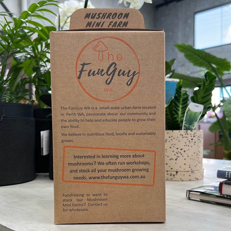 Mushroom Kit by The FunGuy WA