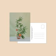 Postcard Set ~ Weed Ikebana