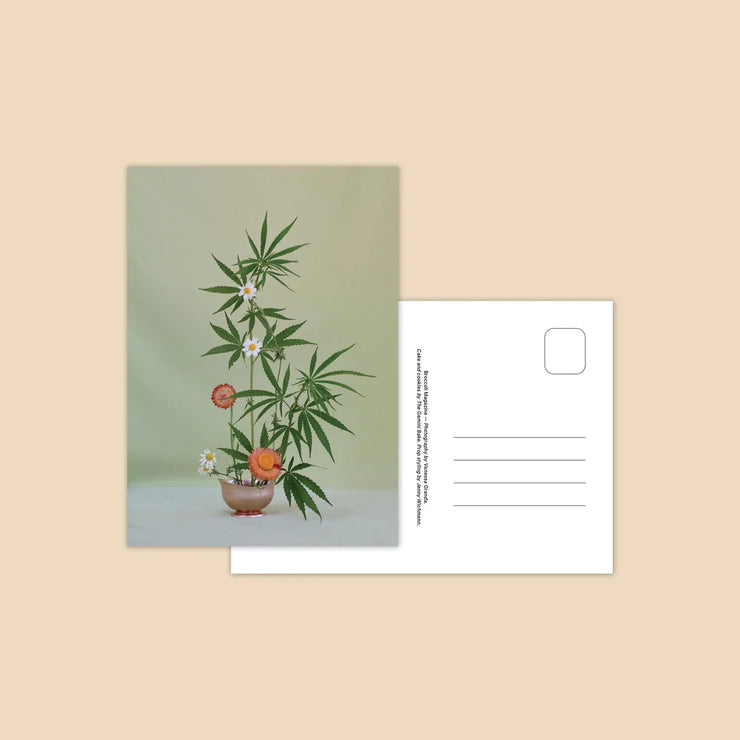 Postcard ~ Weed Ikebana