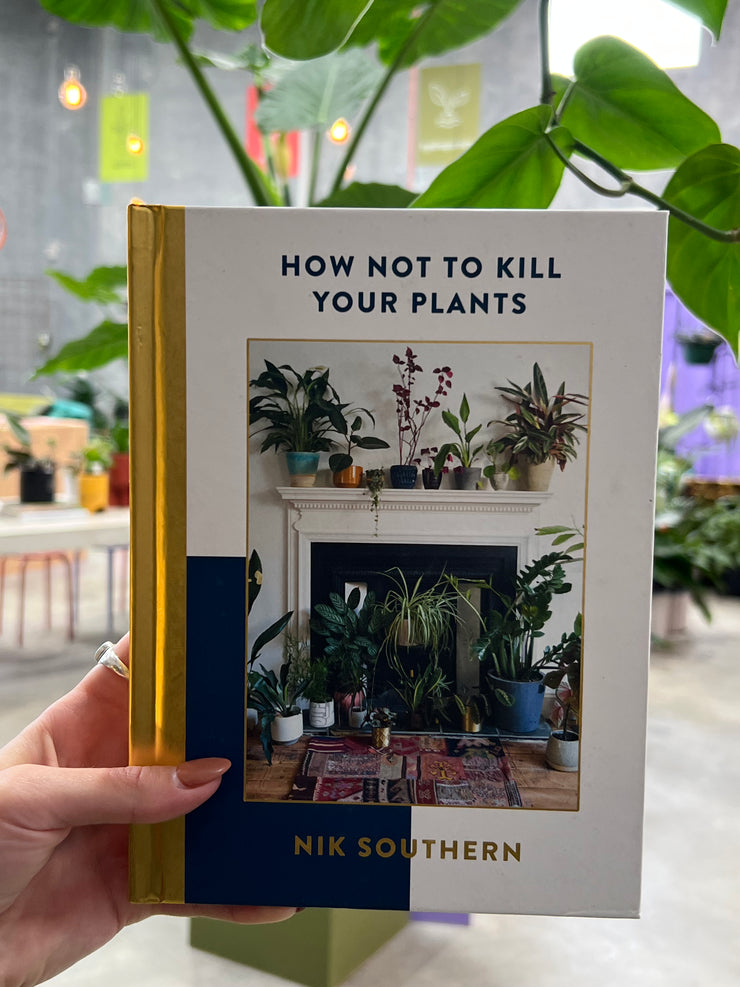 How Not To Kill Your Plants