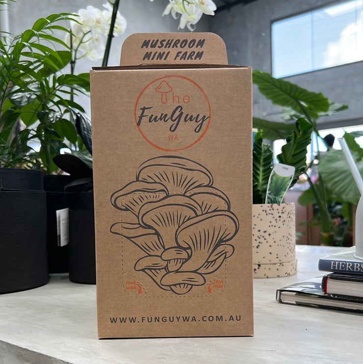 Mushroom Kit by The FunGuy WA