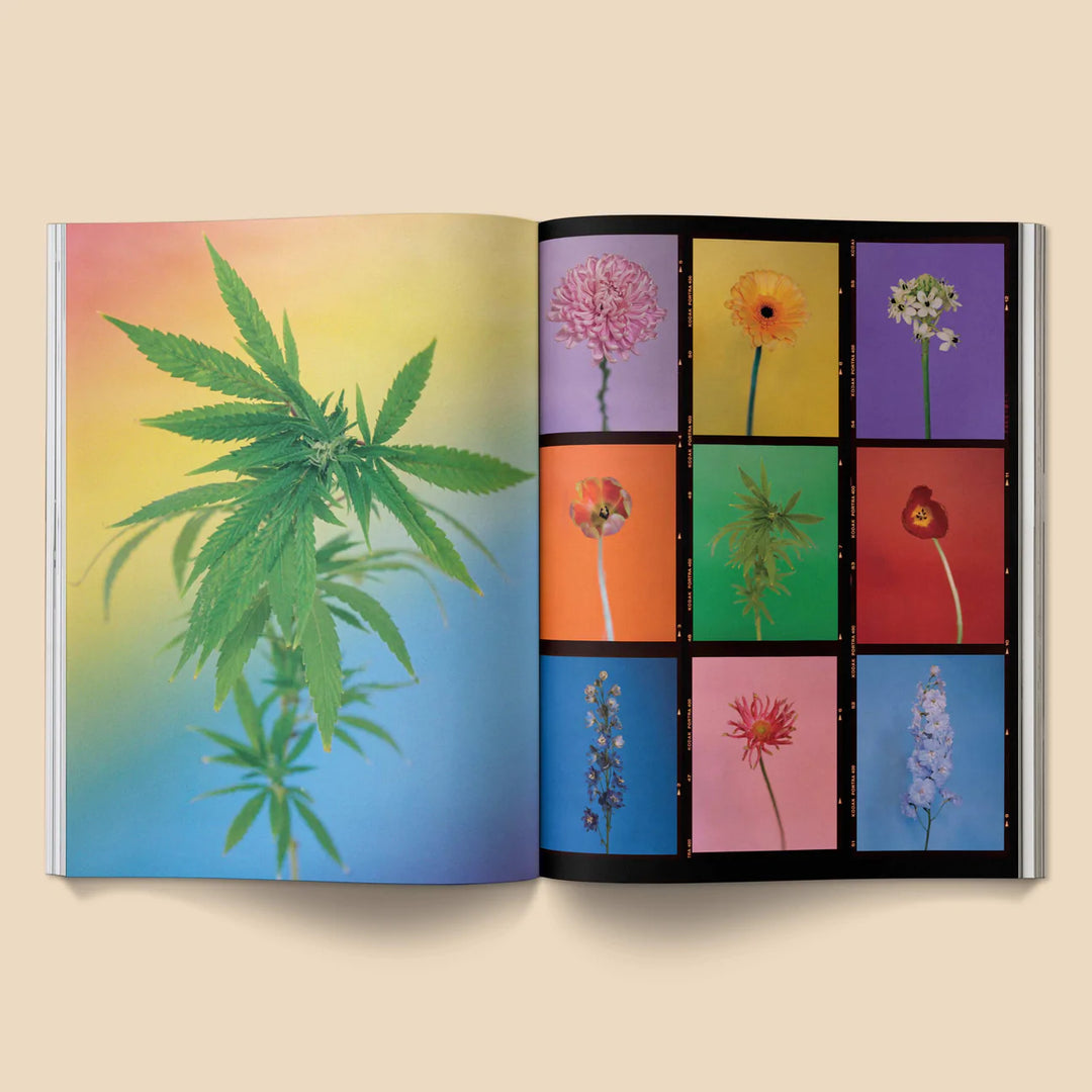 A Weed is a Flower Book