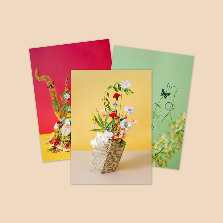 Postcard Set ~ Flower Pot