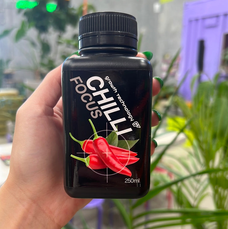 Chilli Focus