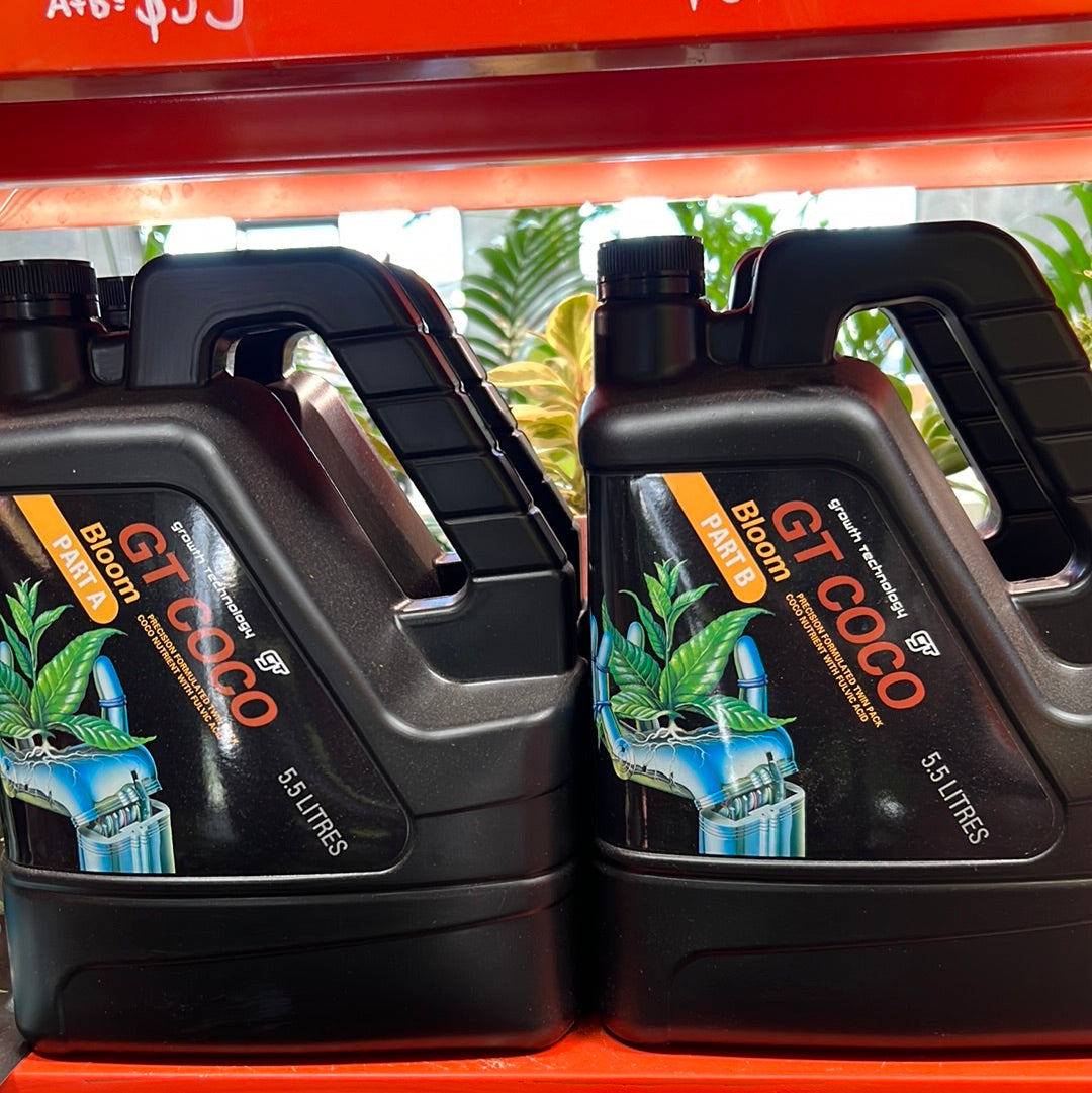 Coco Bloom Part A + Part B