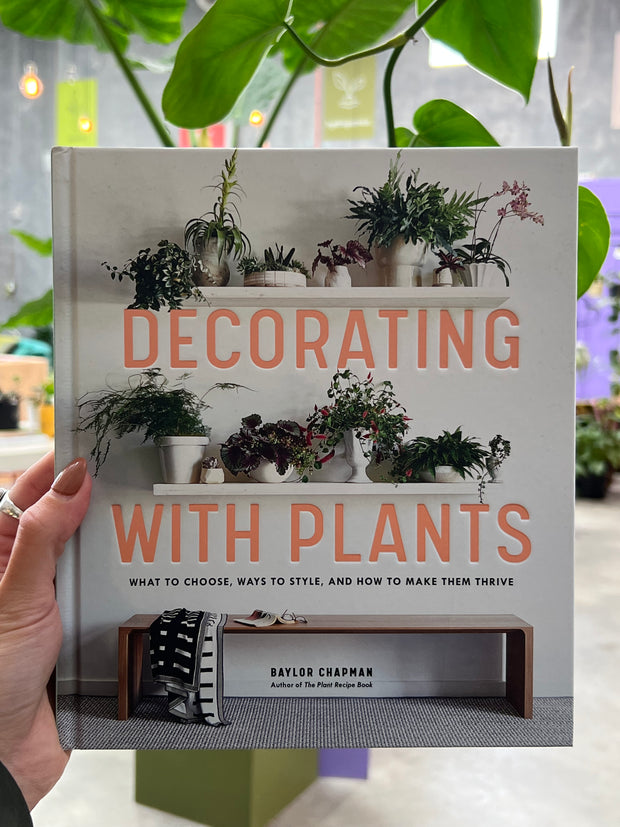 Decorating with Plants: How to Make Them Thrive