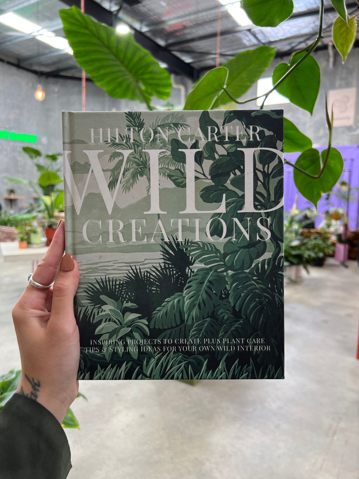 Wild Creations: Plant Care Tips & Styling Ideas