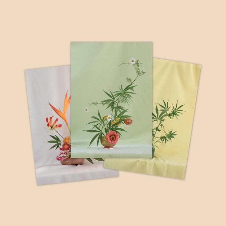 Postcard Set ~ Weed Ikebana