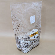 CO2 generator mycelium bags