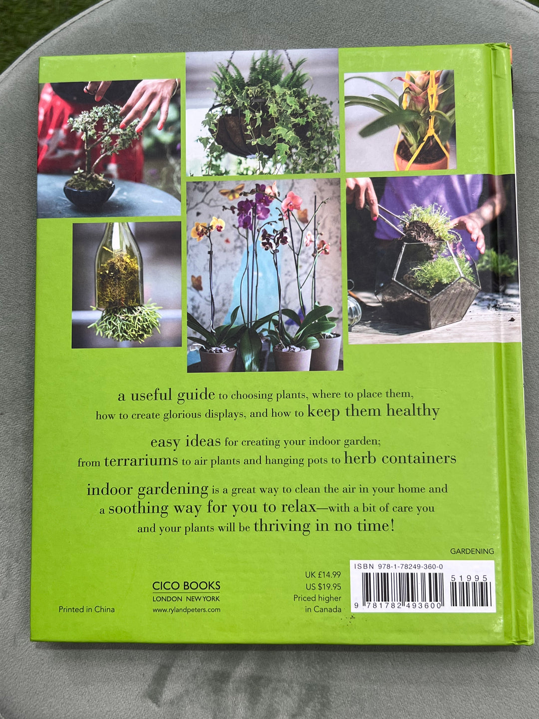 House Plants: How to Look After Your Indoor Plants