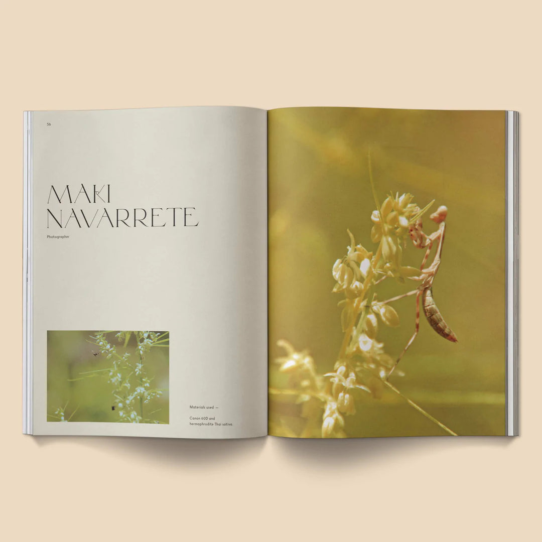 A Weed is a Flower Book